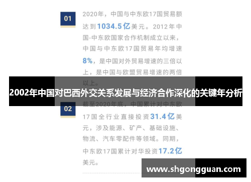 2002年中国对巴西外交关系发展与经济合作深化的关键年分析 2002年中国对巴西外交关系发展与经济合作深化的关键年分析