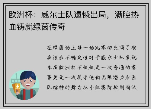 欧洲杯：威尔士队遗憾出局，满腔热血铸就绿茵传奇